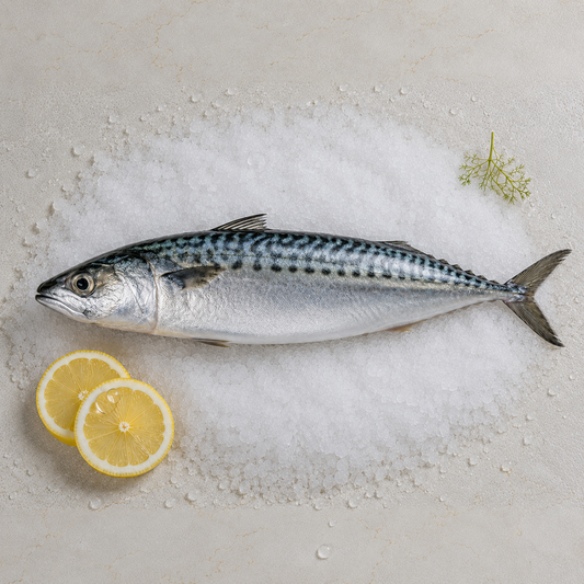 Taze kolyoz balığı - yüksek omega-3, Deryadan
